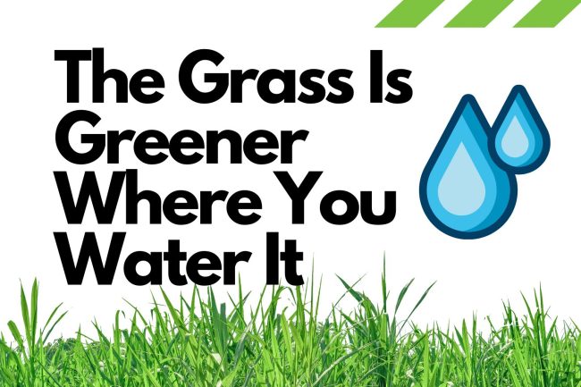 The Grass Is Greener Where You Water It