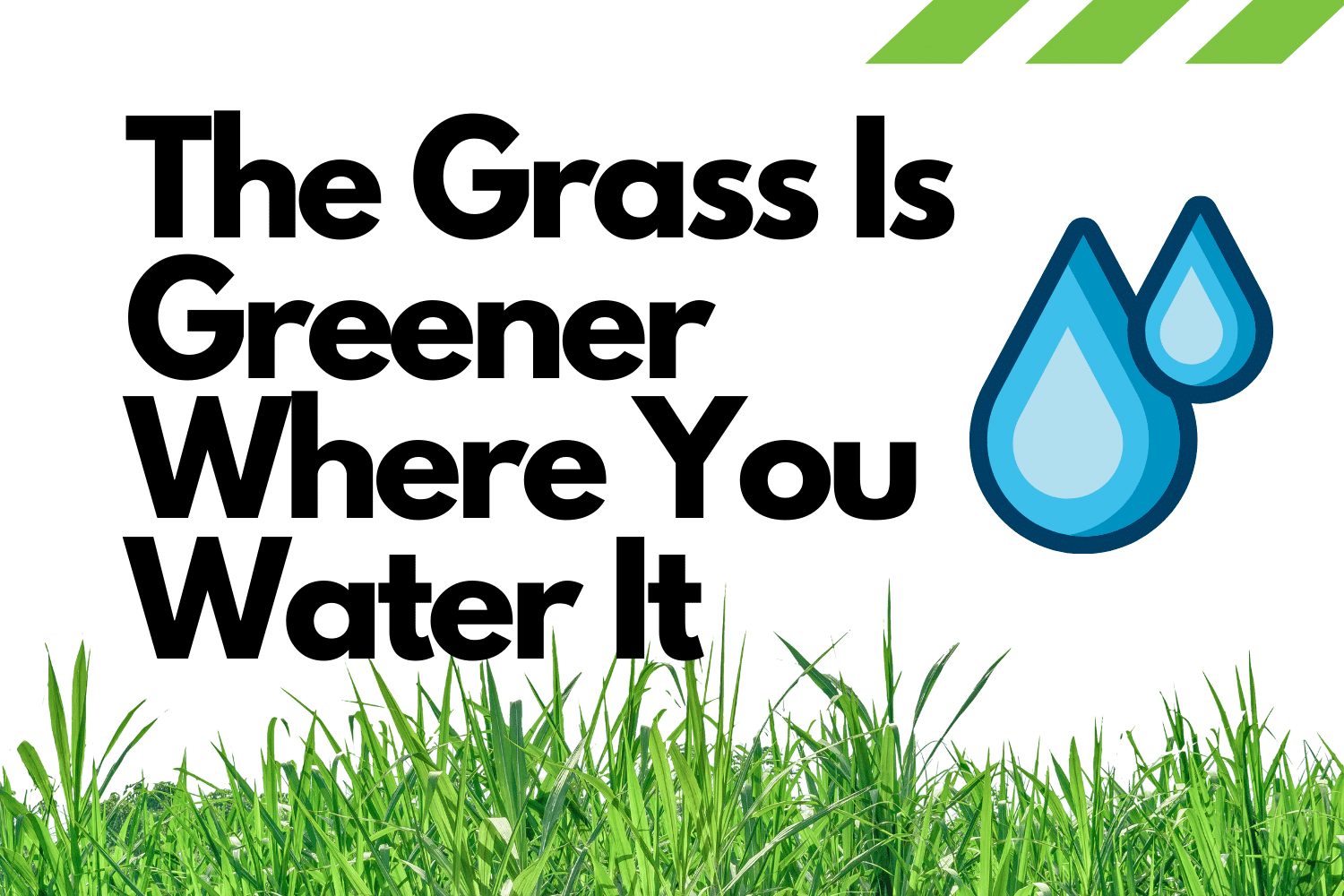 The Grass Is Greener Where You Water It The Grass Is Greener Where You Water It