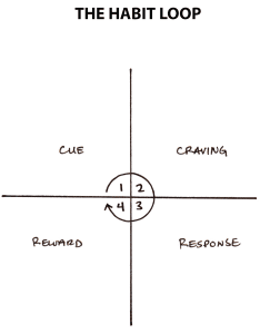 The habit loop by James Clear